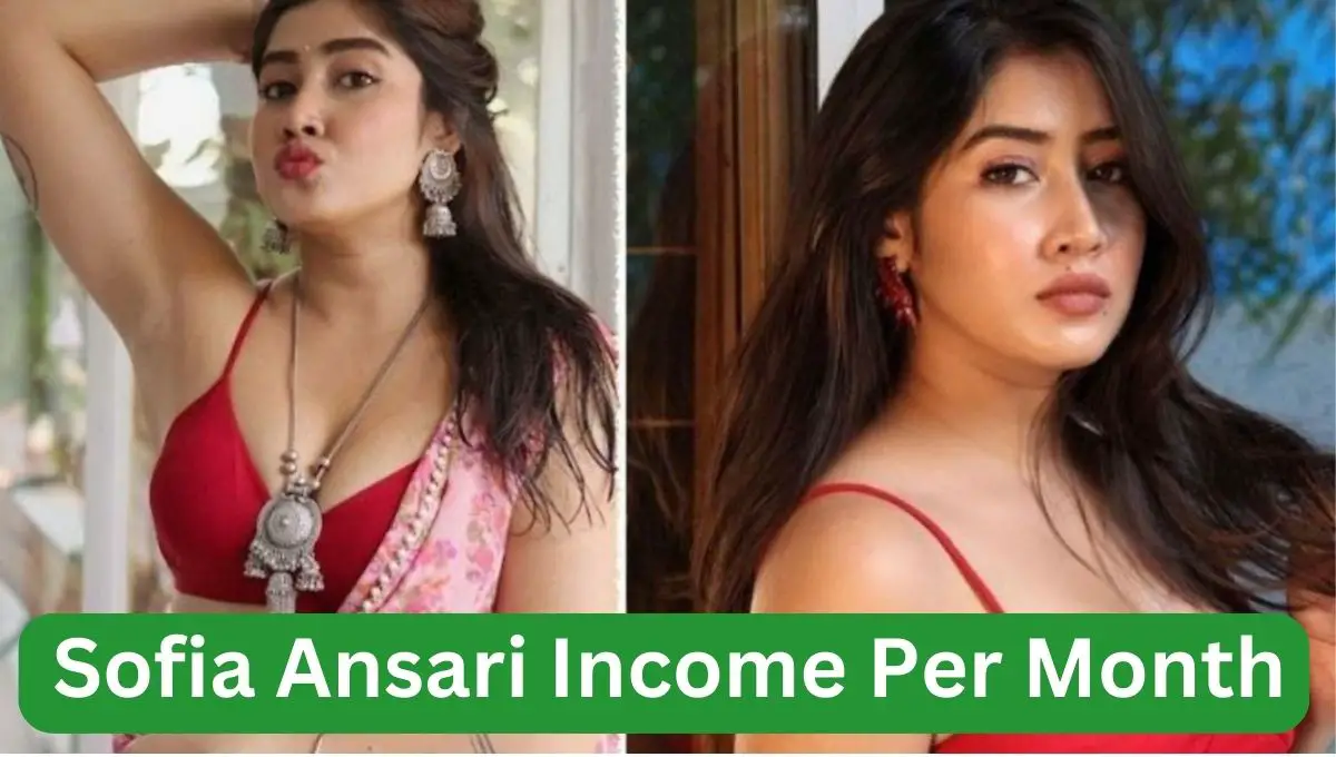 Sofia Ansari Income Per Month