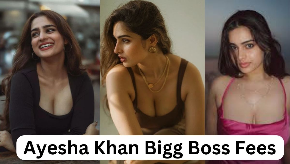 Ayesha Khan Bigg Boss Fees