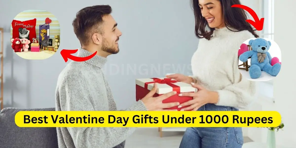 Best Valentine Day Gifts Under 1000 Rupees